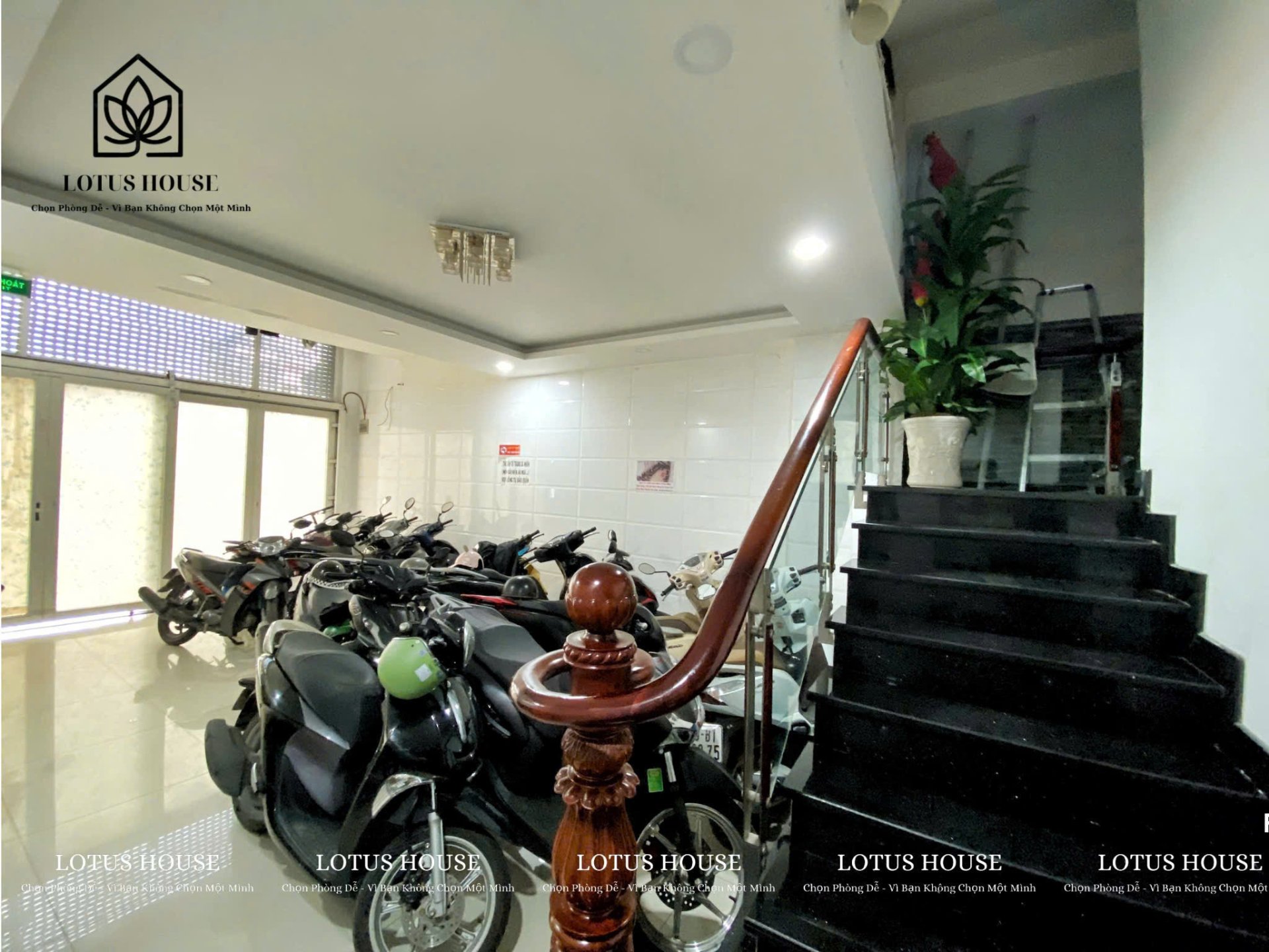 Ảnh nhỏ 4